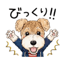 Noah_chan_20260616221032