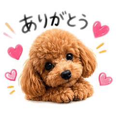 dog...love