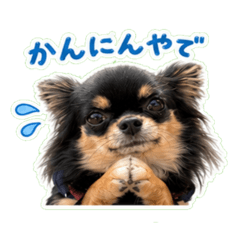 kazu_20260616221843