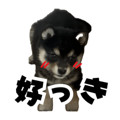 miyuki_20260616222006