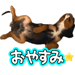 Akane_20260616220753