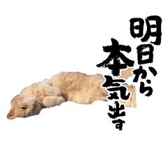 chihiro_20260616223301