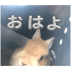 Ren_20260616223030