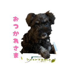 yamayori_20260616224356