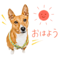 ma-chan1027_20260616224452