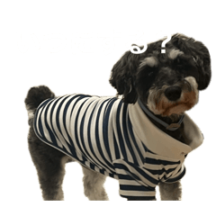 SAYURI_20260616230443