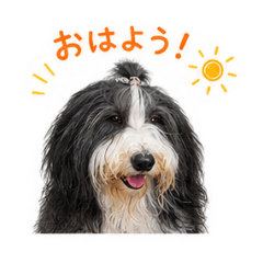 Kozue_20260616230457