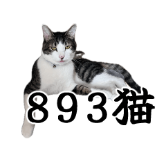 893CAT IN JAPAN