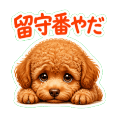 nukonameko_20260615145027