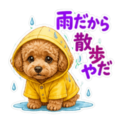 nukonameko_20260615151035