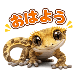 Everyday Crested Gecko