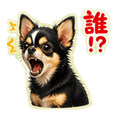 nukonameko_20260615153236