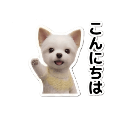 HIROSHI UBUKAWA_20260615164839