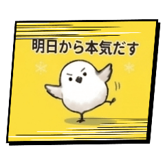 yslucky_20260616233437