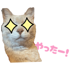 chihiro_20260616234005