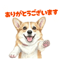 萌萌柯基犬：實用日語敬語篇