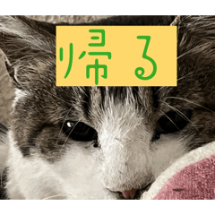 OTO_20260615173613