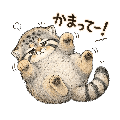 Kamatte Manul