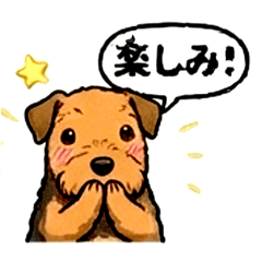TSUTOMU_20260615193653