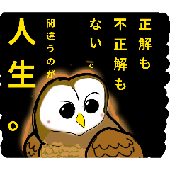 yao_20260615212253