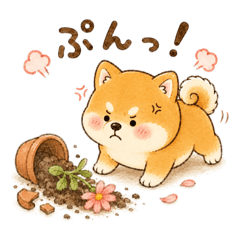 Oops! Chubby Shiba