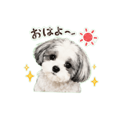 ayu_u_20260615211955