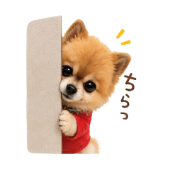 megu_20260615230353