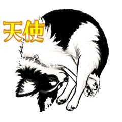 Lien_20260615233112