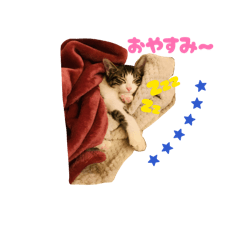 SUKI_Love