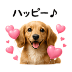 Happy-diary_20260616130706