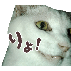 nazonosuke_20260616144708