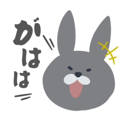 hachi_20260616171525