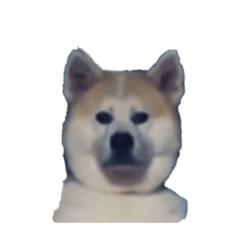 Ken_20260615035028