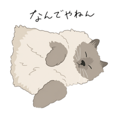 utakata_20260616194826