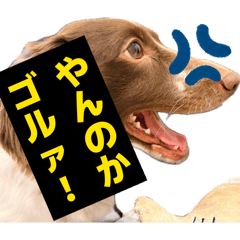 K_20260616212156