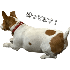 MARU_20260616210244