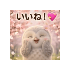 Fumi_20260616211915
