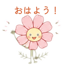 shikakokaasan_20260616224152