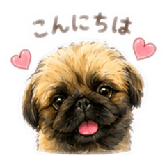 RENA_20260616231219