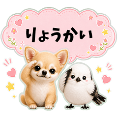 Chihuahua & Shima Enaga
