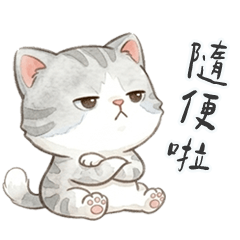QQQQQQQQQQQgrey meow5