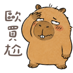 Capybara Office Daily