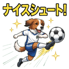 Kooikerhondje_football