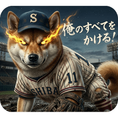 Hiyuma Hoshi style Shiba Inu! Baseball