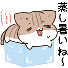 moving unmotivated cat & dog summer2