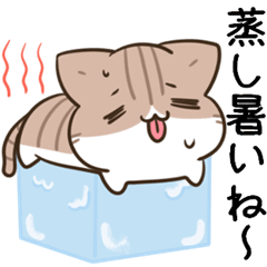 moving unmotivated cat & dog summer2