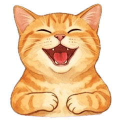 No text cute Orange cat
