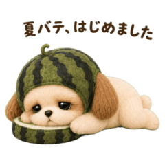 ailuko_20260624061426