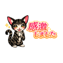 Cute pet Cornish Rex