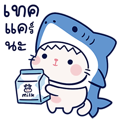 Neko Cat Shark
